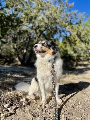 Stay-N-Play Pet Ranch