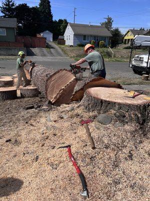 South Hill Tree Service