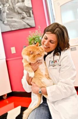 Catisfaction Cat Clinic