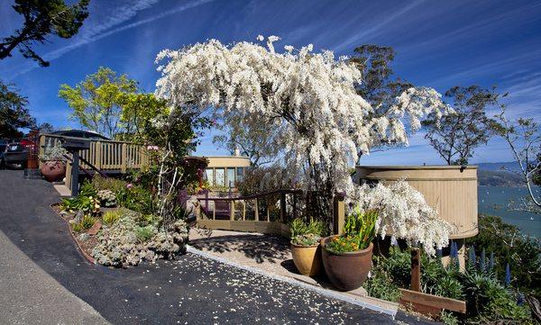 Tamalpais Property Management