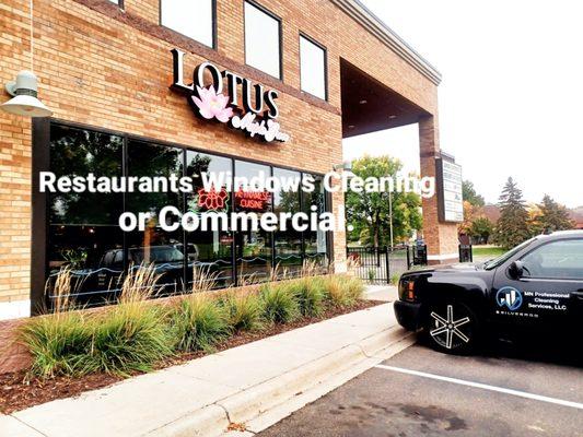 Minesota Professional Cleaning Services