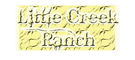Little Creek Ranch