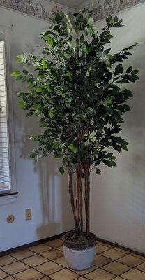 Creative Water Gardens