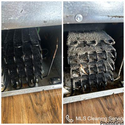 MLS Cleaning Services