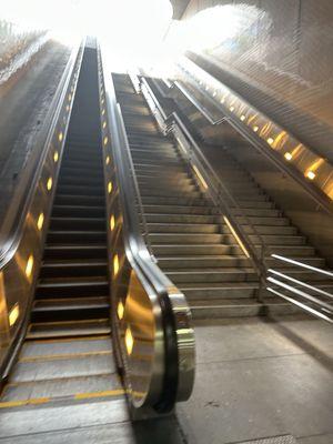 The inside of the location