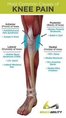 Muscle Mechanics Massage