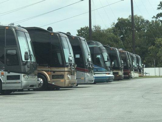 Millennium Luxury Coaches