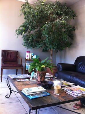 Fratesi & Co the Salon