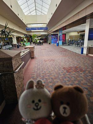 City Of Colorado Springs Municipal Airport (COS)