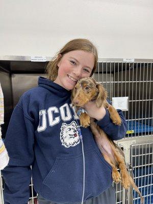 Big Spring Veterinary Diagnostic Hospital