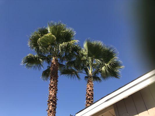 Mata Lawn & Maintenance