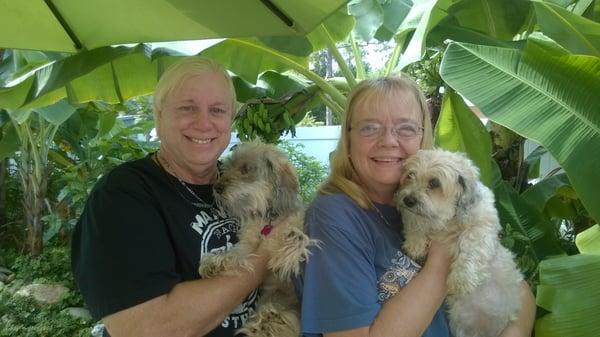 Barker's Choice Dog Walking/Pet Sitting