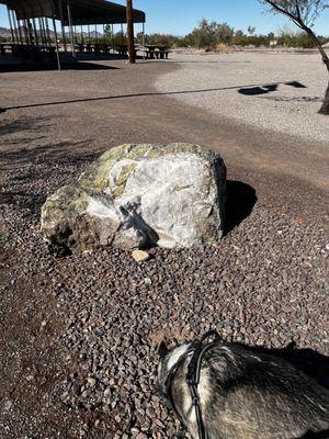 Quartz near dog park