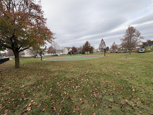 Basketball Court