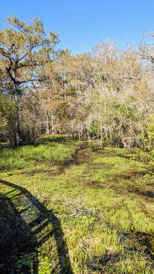 Kirby Storter Roadside Park