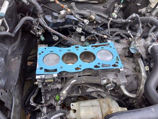 Taylor Mobile Service