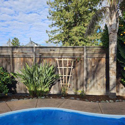 AFTER: Backyard after HMC cleanup. Isn't it pretty!!