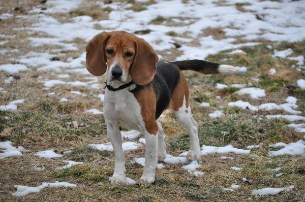 Quest Pest Control, LLC