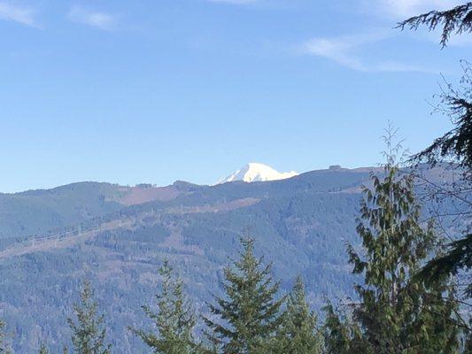 Lookout Mountain Forest Preserve