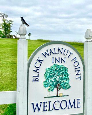 Welcome sign with tree swallow