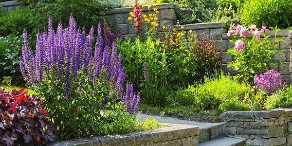 Federal Way Landscape