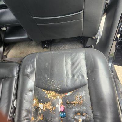 White Dog Mobile Detailing