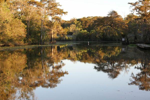 Bay Side Marina & Campground