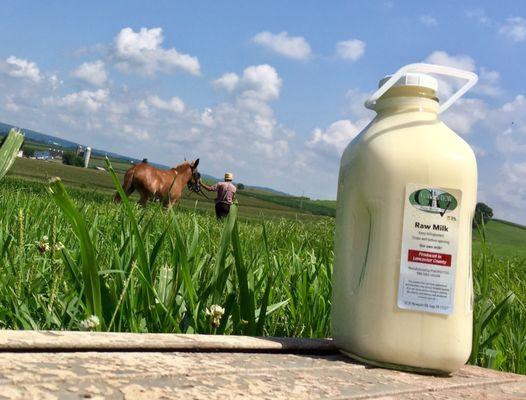 Gap View Farm Market