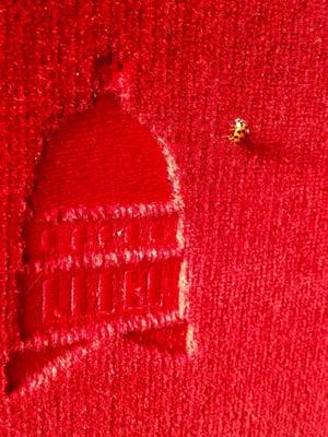 Ladybug on a free ride.