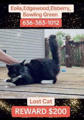 Pike County Animal Control