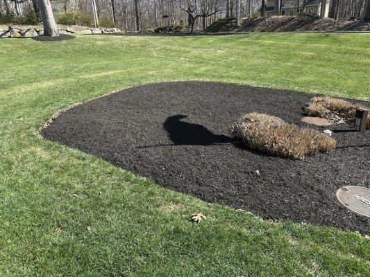Sunnyside Landscaping