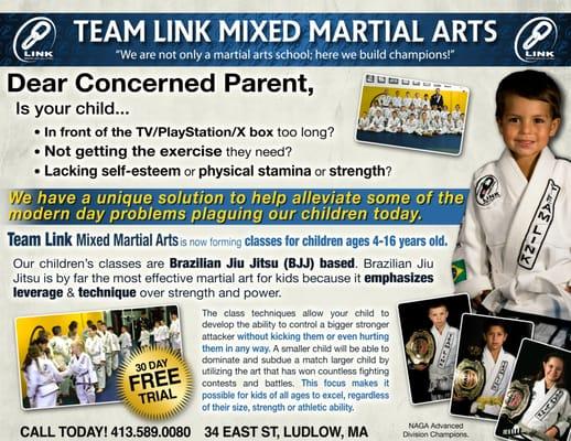 Team Link Ludlow MA - Brazilian Jiu Jitsu