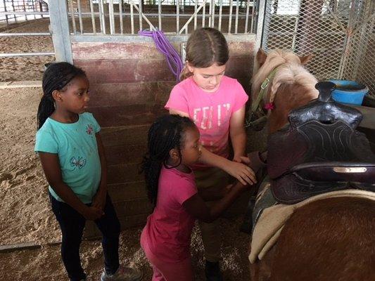 Sam Houston Equestrian Center