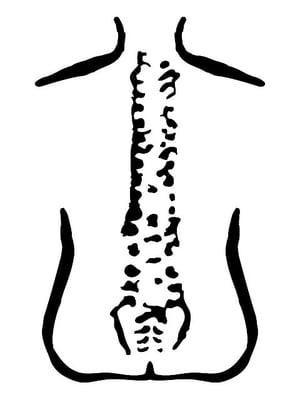 Lane Chiropractic and Rehabilitation