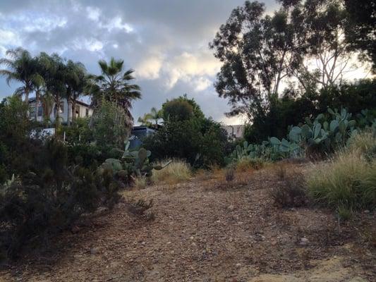 Juniper Canyon Open Space