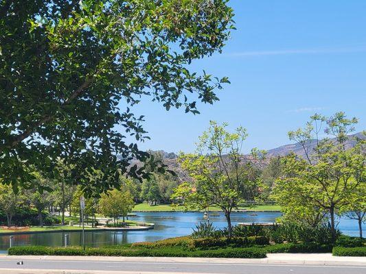 Antonio Mobile Notary Services