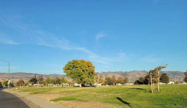 Hillview Park