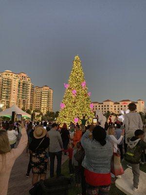 Downtown Palm Beach Gardens