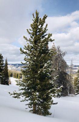 Beaver Creek Nordic Center