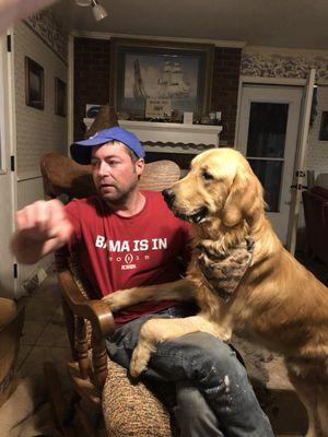 Golden Retriver Puppies by Singing River