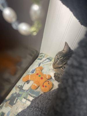 Bench area to sit in exam room