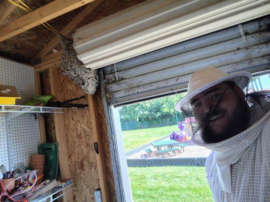 BioStrike Pest & Mosquito