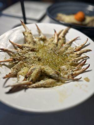 Bistecca An Italian Steakhouse