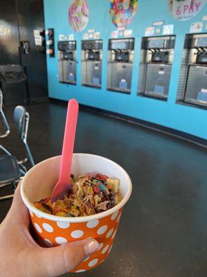 Snickerdoodlz Frozen Yogurt