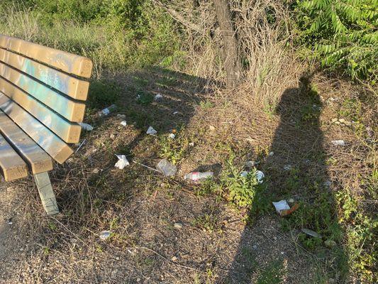 Trash that looks like it's been there for a while, sadly.