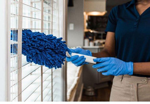 Cheles Extreme Cleaning