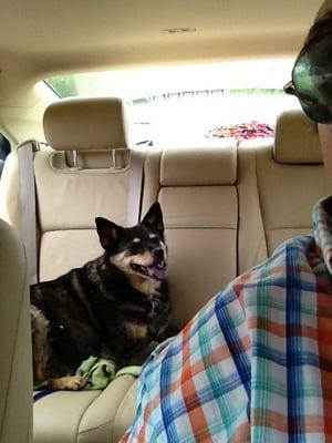 Dimensions Hair Salon