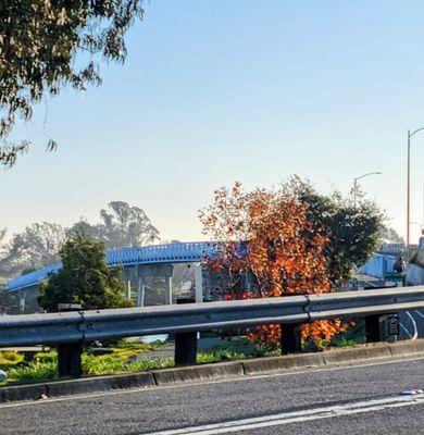 Bay Farm Bike Bridge