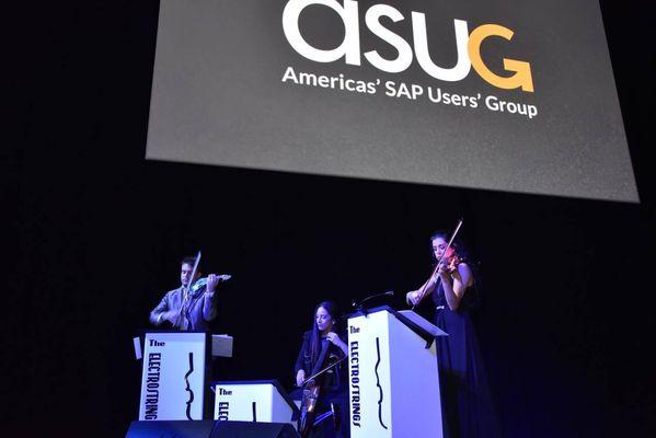 Vibrant Harmony Entertainment