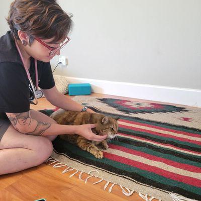 Good Vibes Mobile Veterinary Services